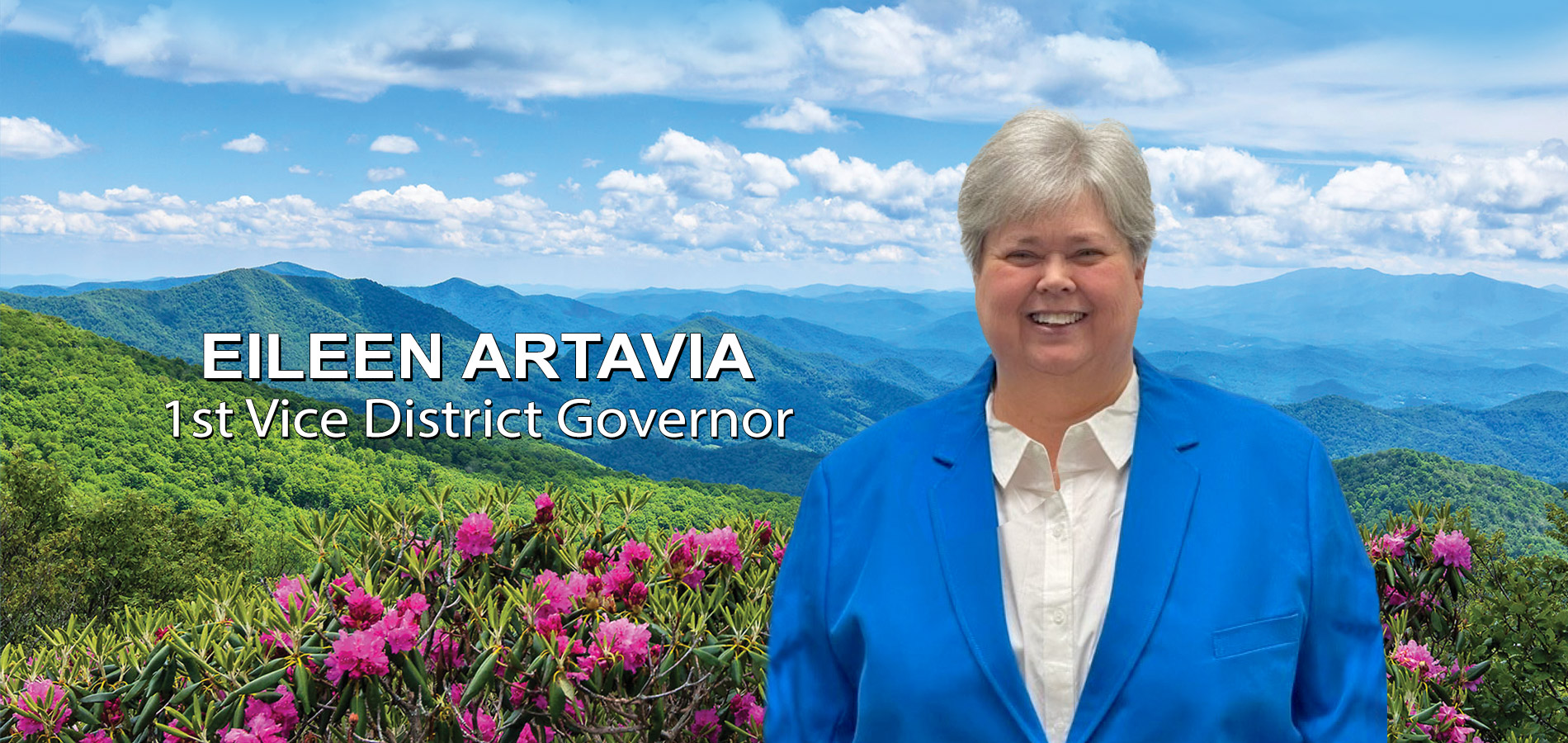 Eileen Artavia 1st Vice District Governor District 31 L Lions Clubs North Carolina